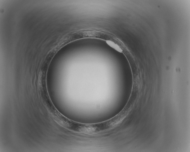 X0000083600217200702231755