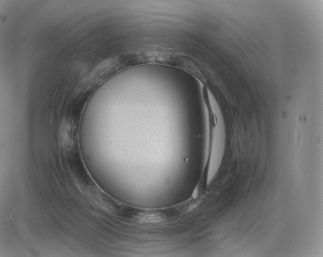 X0000083600218200702231755