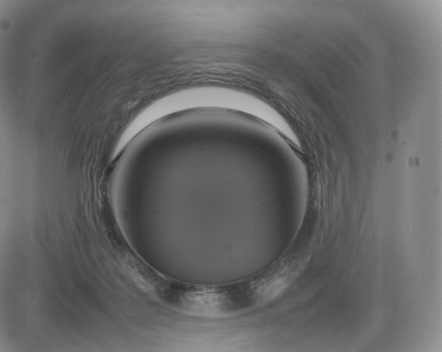 X0000083600219200702231755