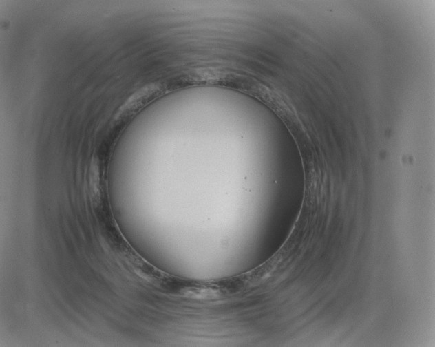 X0000083600220200702231755