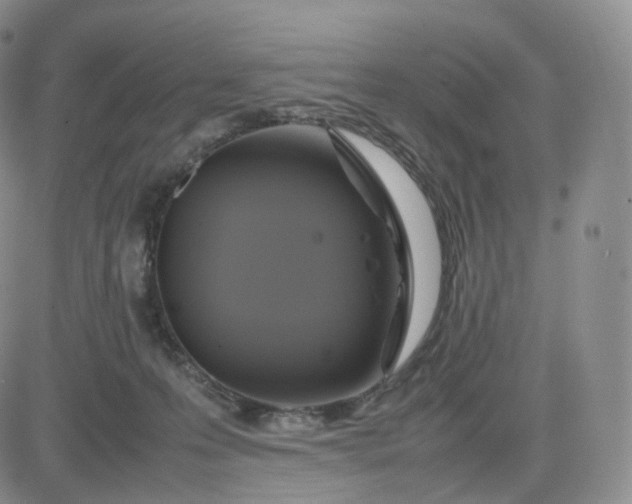 X0000083600223200702231754