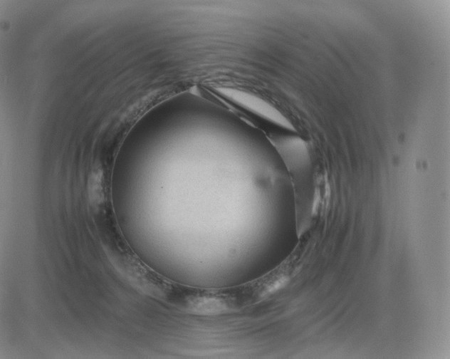 X0000083600224200702231754