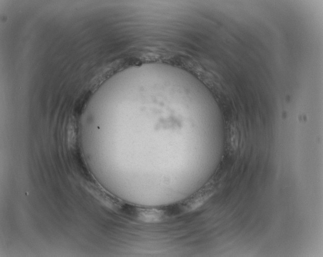 X0000083600226200702231754