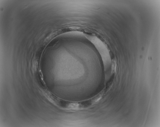 X0000083600227200702231754