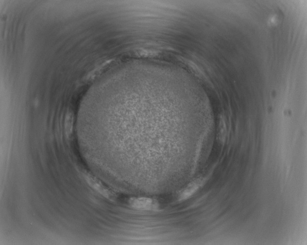 X0000083600230200702231754