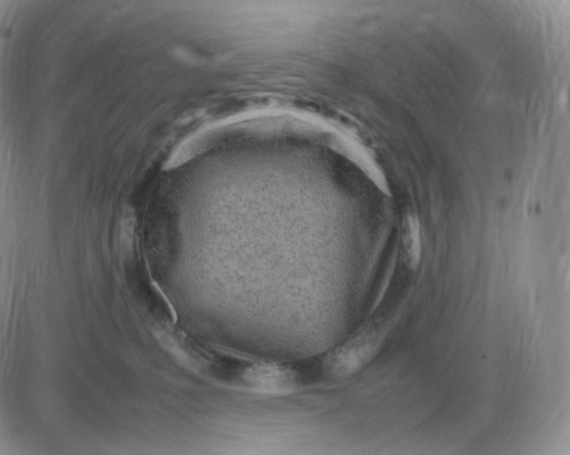 X0000083600231200702231754