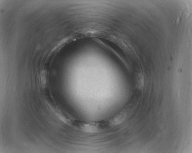 X0000083600232200702231754