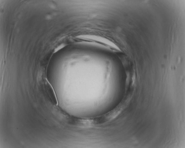 X0000083600233200702231754