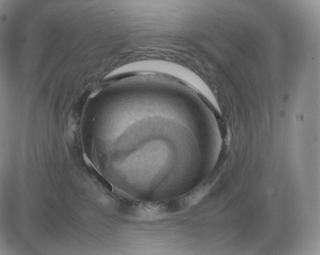 X0000083600235200702231754