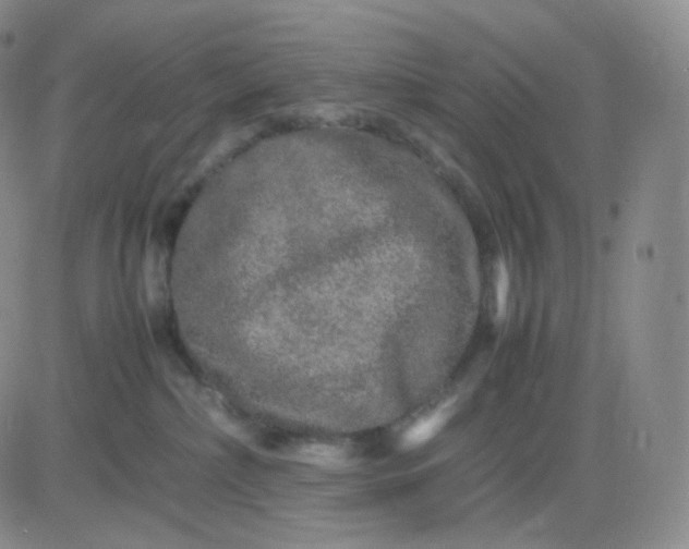 X0000083600236200702231754