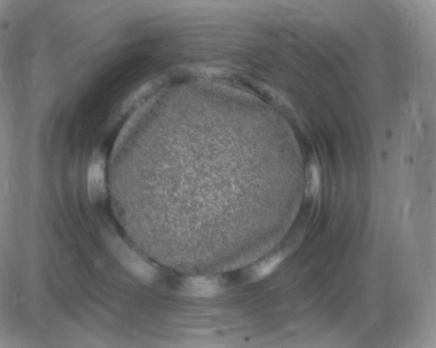 X0000083600238200702231754