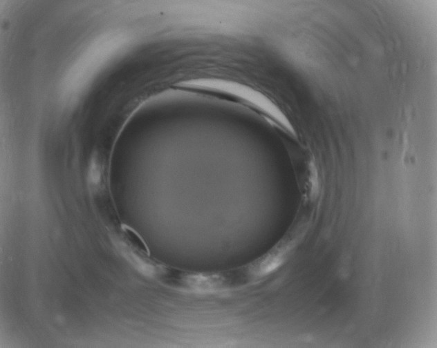 X0000083600239200702231754