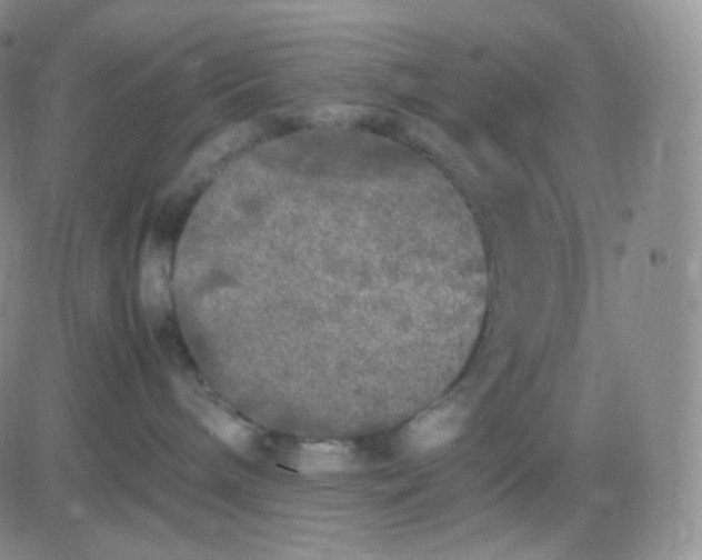 X0000083600240200702231754