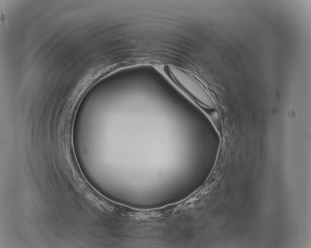 X0000083600241200702231753