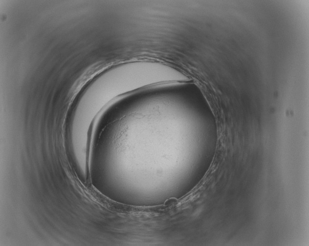 X0000083600242200702231753