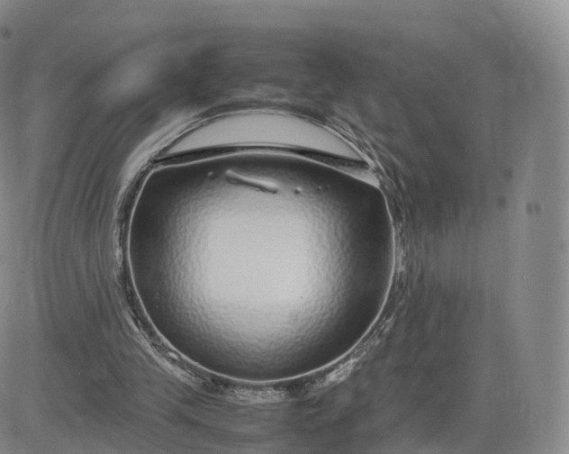 X0000083600245200702231753