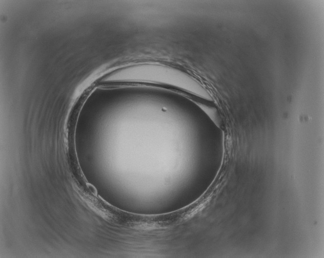 X0000083600246200702231753