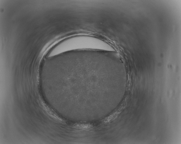 X0000083600247200702231753