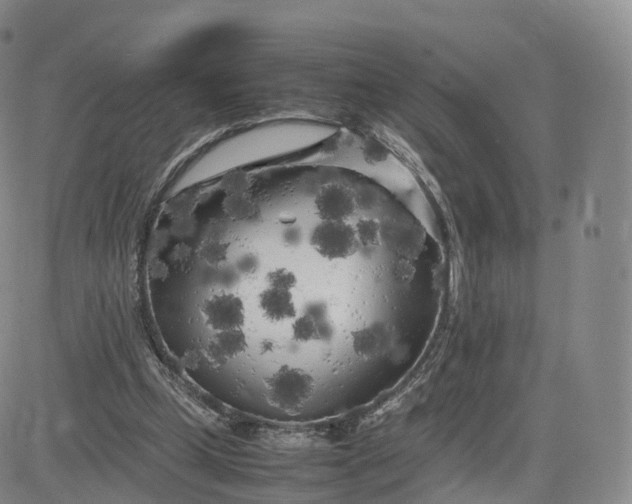 X0000083600249200702231754