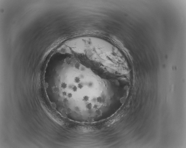 X0000083600250200702231754