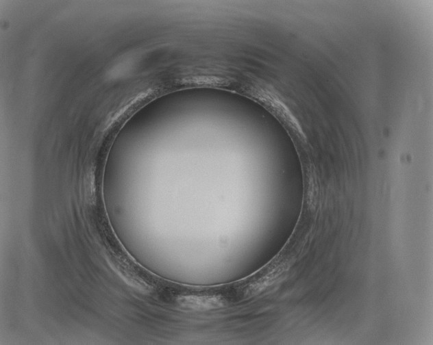 X0000083600251200702231754