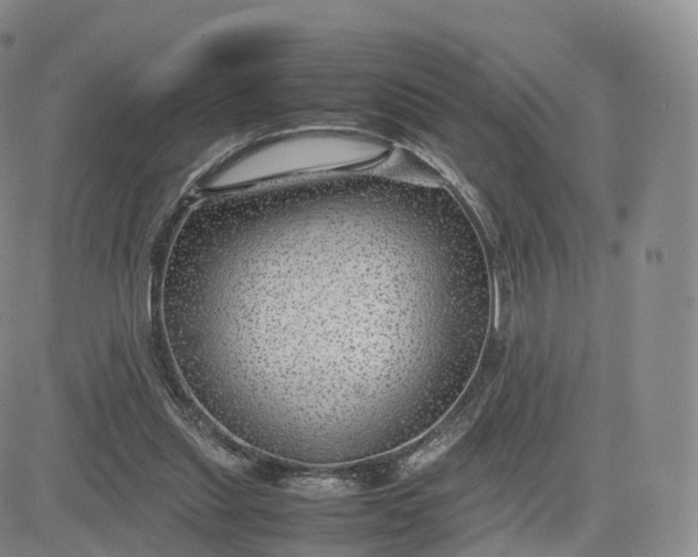 X0000083600253200702231754