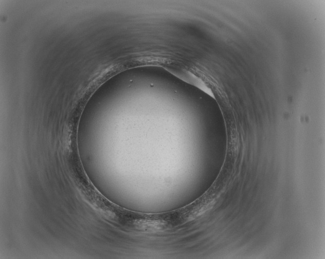 X0000083600255200702231754