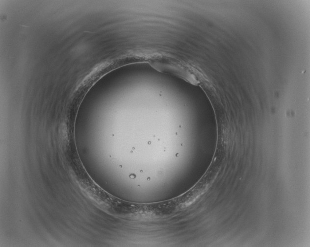 X0000083600256200702231754