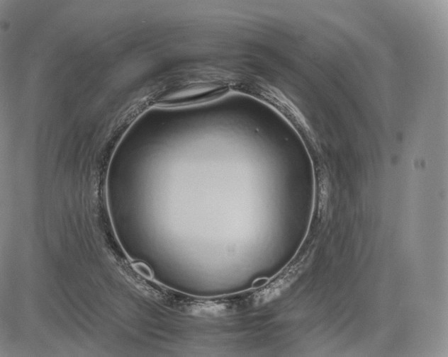 X0000083600257200702231754