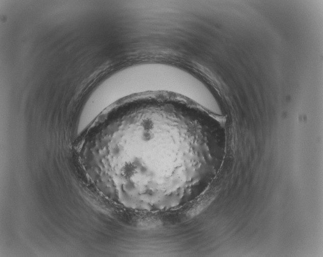 X0000083600258200702231754