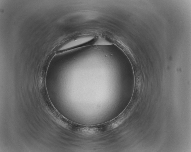 X0000083600261200702231754