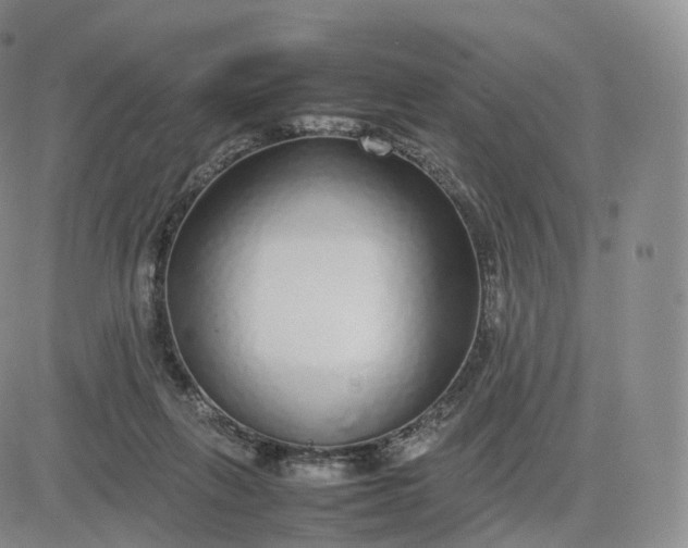 X0000083600263200702231754