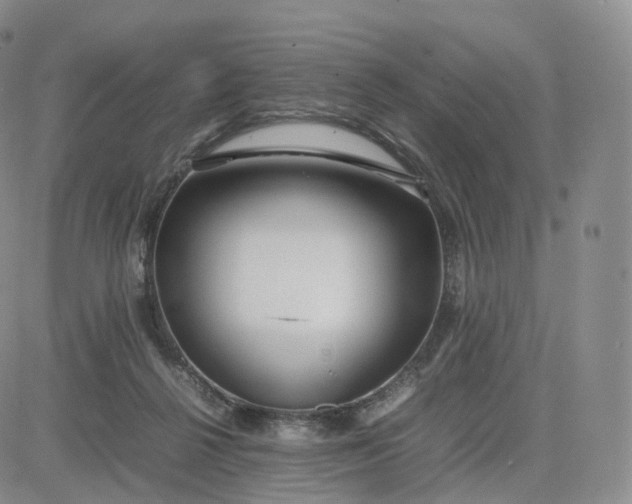 X0000083600264200702231754