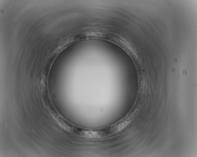 X0000083600265200702231754