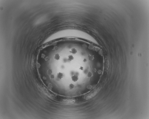 X0000083600266200702231754