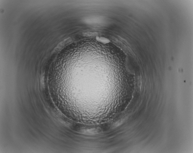 X0000083600267200702231754