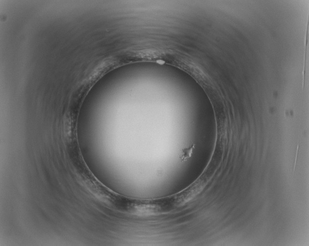 X0000083600268200702231754