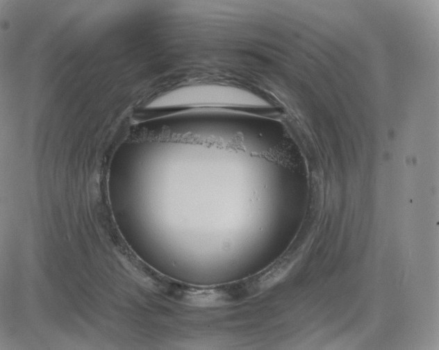 X0000083600269200702231754