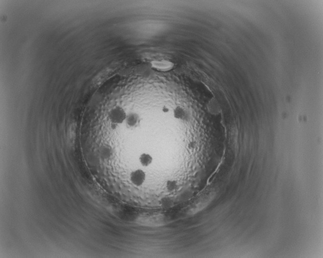 X0000083600271200702231754