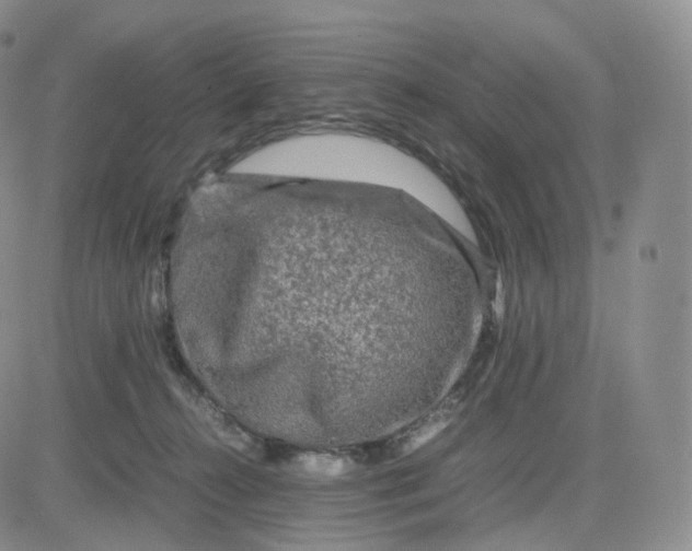 X0000083600272200702231754