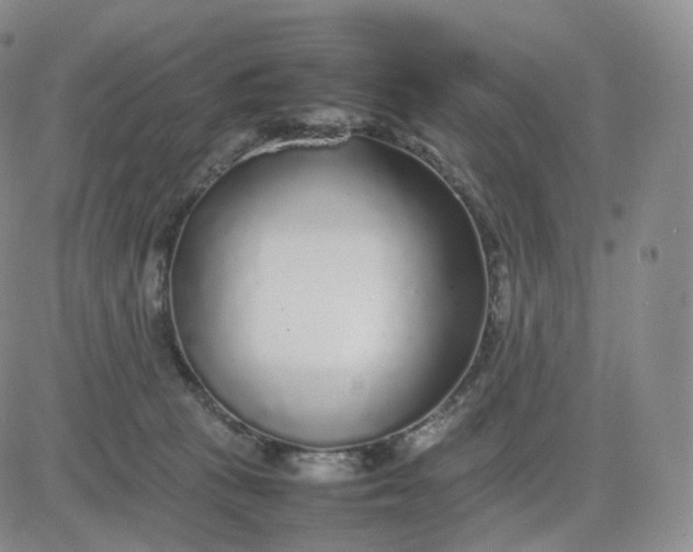 X0000083600273200702231754