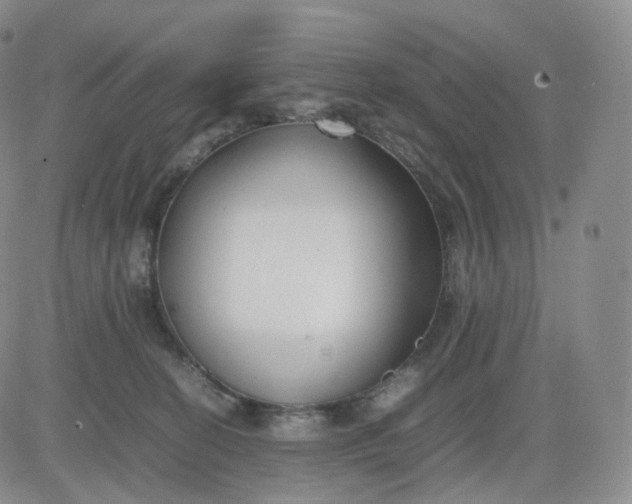 X0000083600274200702231754