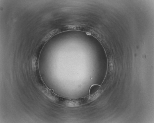 X0000083600275200702231754