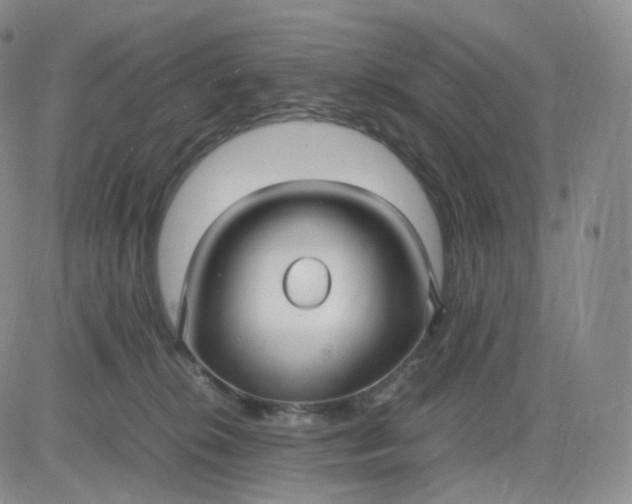 X0000083600276200702231754