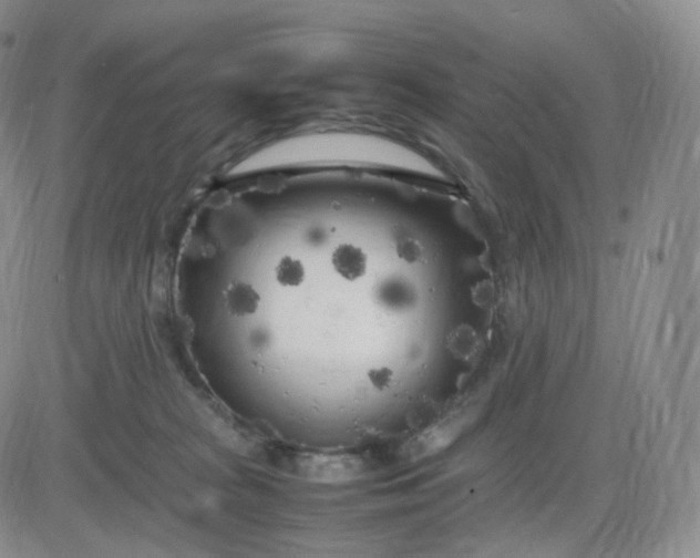 X0000083600277200702231754