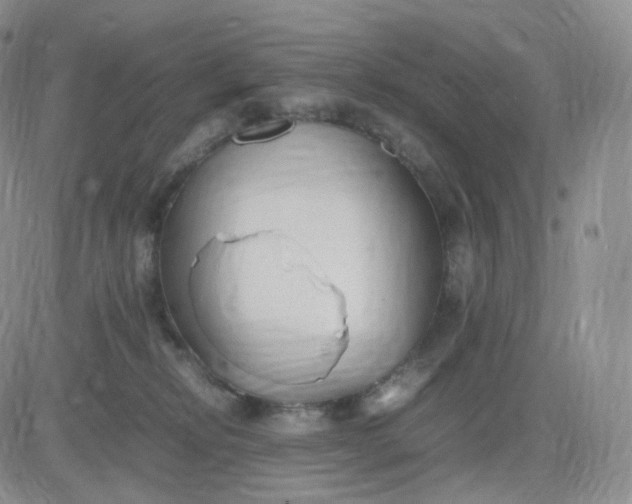 X0000083600278200702231754