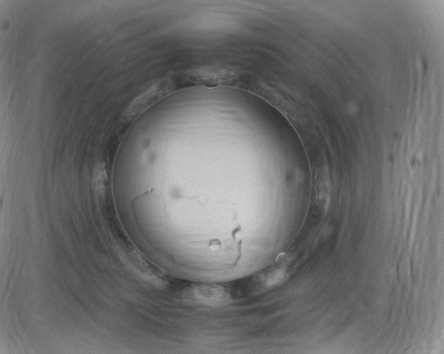 X0000083600279200702231754