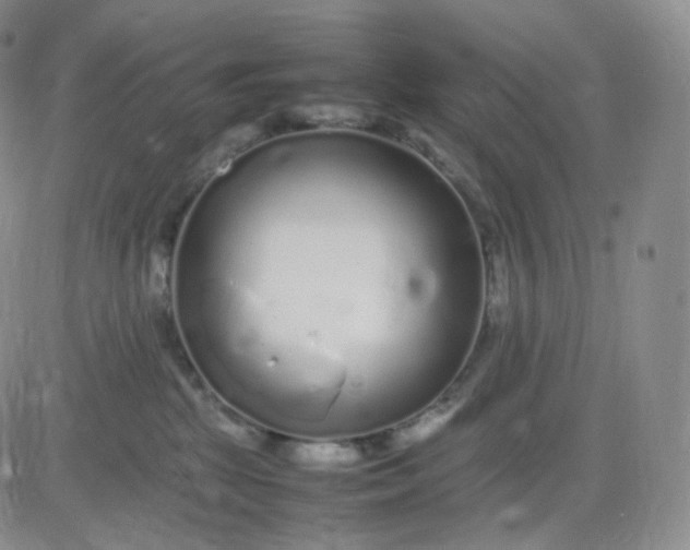 X0000083600281200702231754