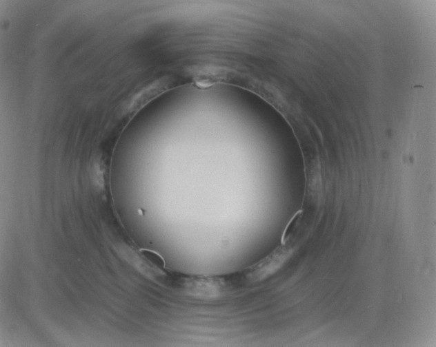 X0000083600282200702231754