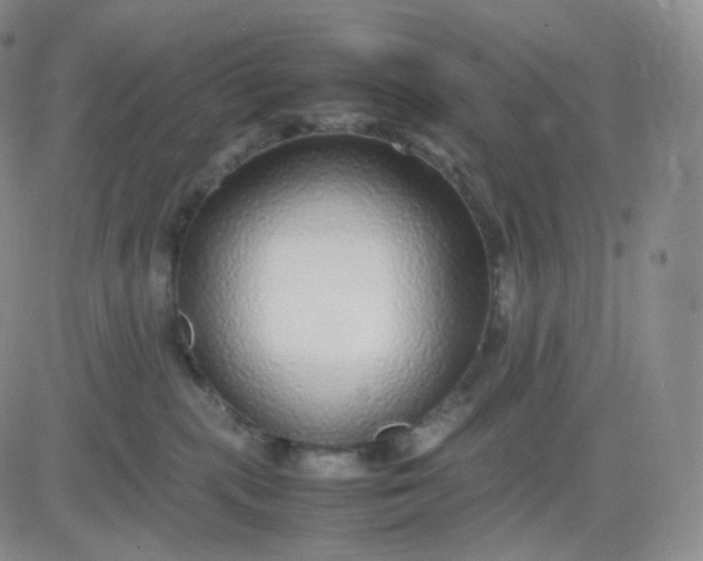 X0000083600283200702231754